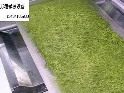 微波茶葉殺青機(jī)