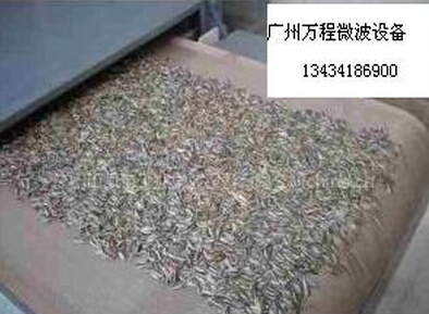 微波堅果內干燥設備